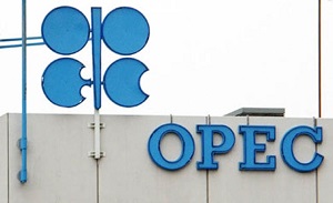  Organisation of the Petroleum Exporting Countries(OPEC) 