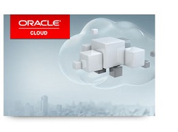 New Oracle Data Cloud 