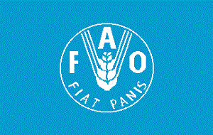 UN Food and Agriculture Organization (FAO) 