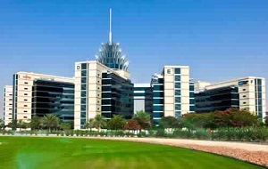 Dubai Silicon Oasis Authority ( DSOA )