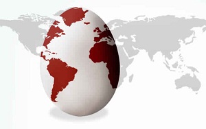 Egg exports from Brazil to Arab countries up 28 per cent