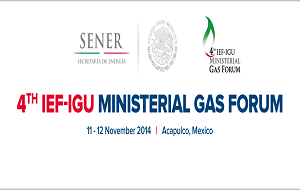 UAE participates in the 4th Joint Ministerial Gas Forum in Mexico
