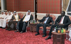 Qatar, Gambia Looking to Strengthen Economic Ties