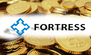 Fortress Investment Group 
