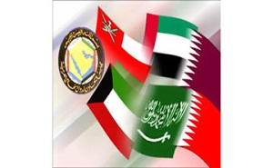  Gulf Cooperation Council (GCC) 